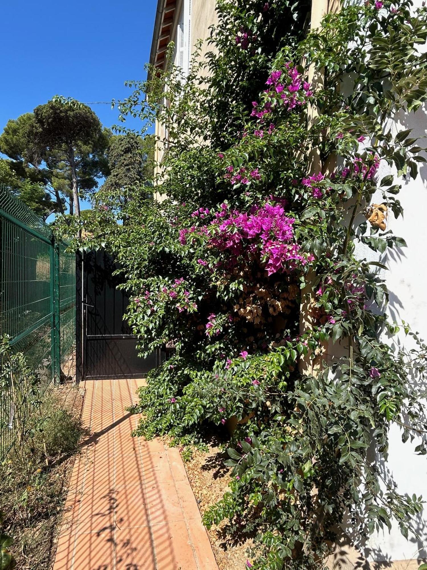 Villa Les Lys 2 La Seyne-sur-Mer Dış mekan fotoğraf